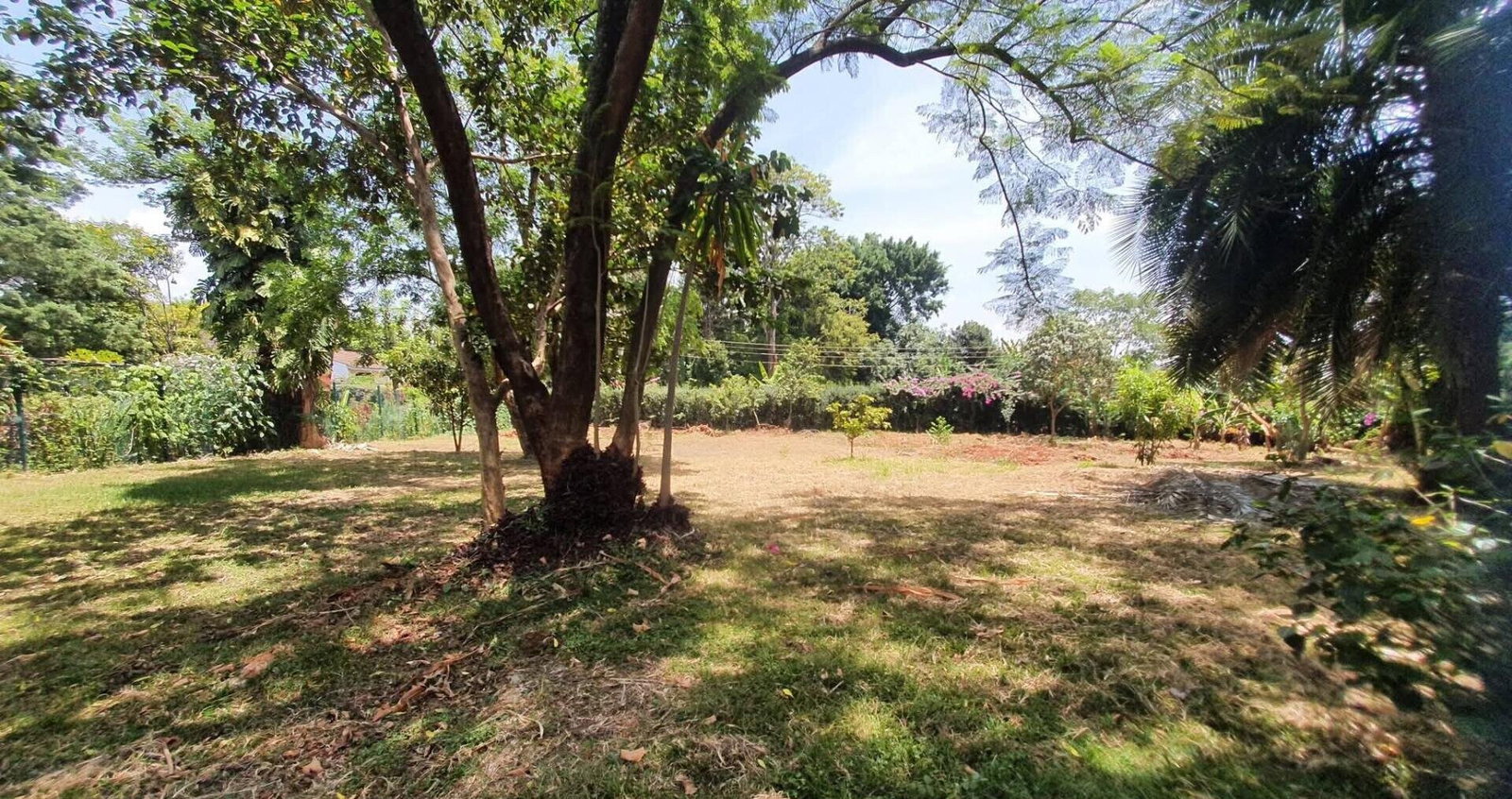 Half Acre Garden Plot at KSh 65M
