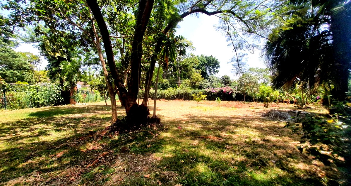 Half Acre Garden Plot at KSh 65M