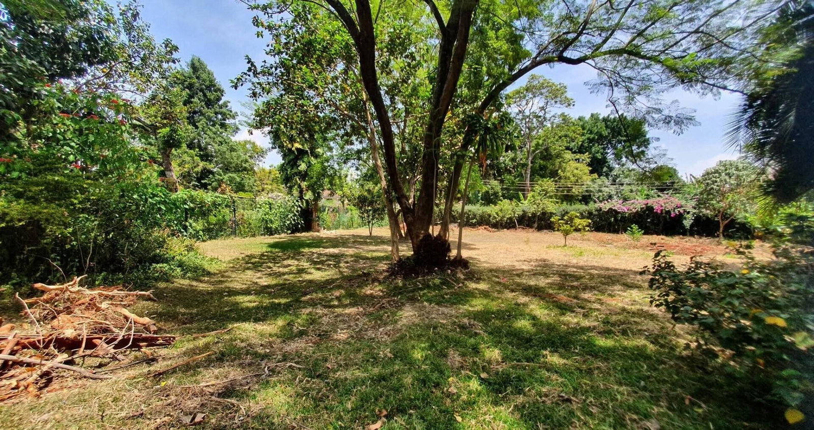 Half Acre Garden Plot at KSh 65M