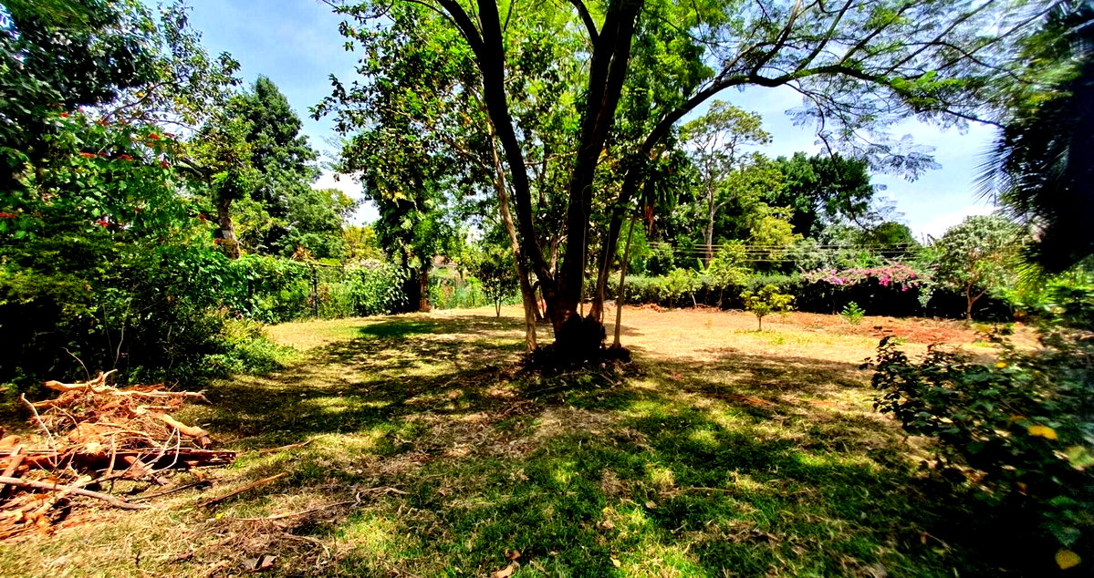 Half Acre Garden Plot at KSh 65M