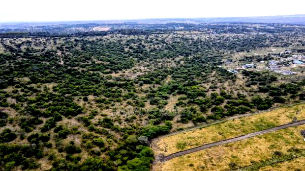 1/4 and 1/8 Acre Pieces Kwa Mboya,Amani Close