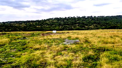 1/4 and 1/8 Acre Pieces Kwa Mboya,Amani Close - Image 4