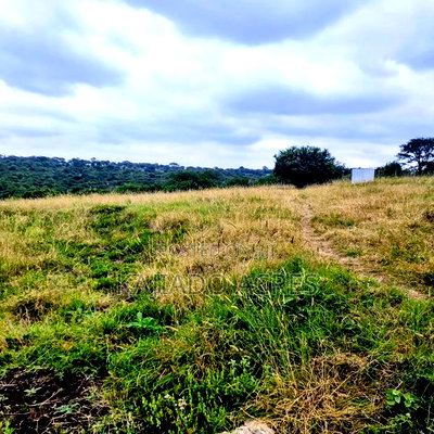 1/4 and 1/8 Acre Pieces Kwa Mboya,Amani Close - Image 7