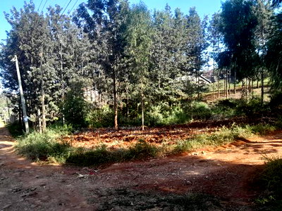 60 by 100 Plot for Sale at Kiamumbi - Image 5