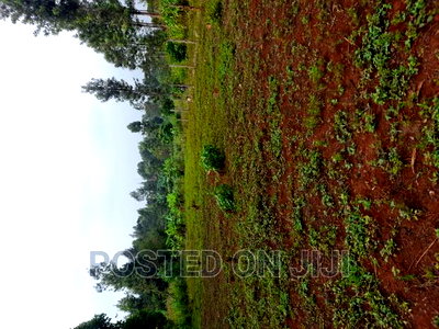 Kenyatta Road - Image 4