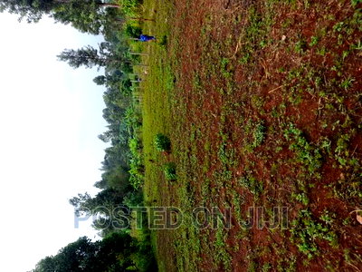 Kenyatta Road - Image 2