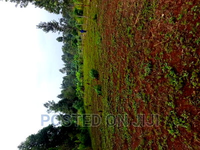 Kenyatta Road - Image 1