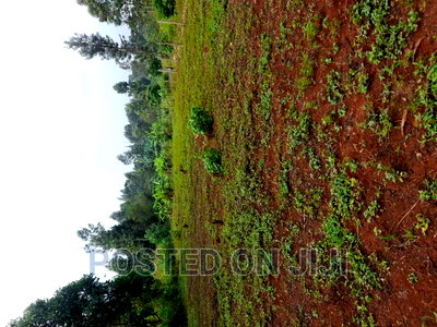 Kenyatta Road - Image 3