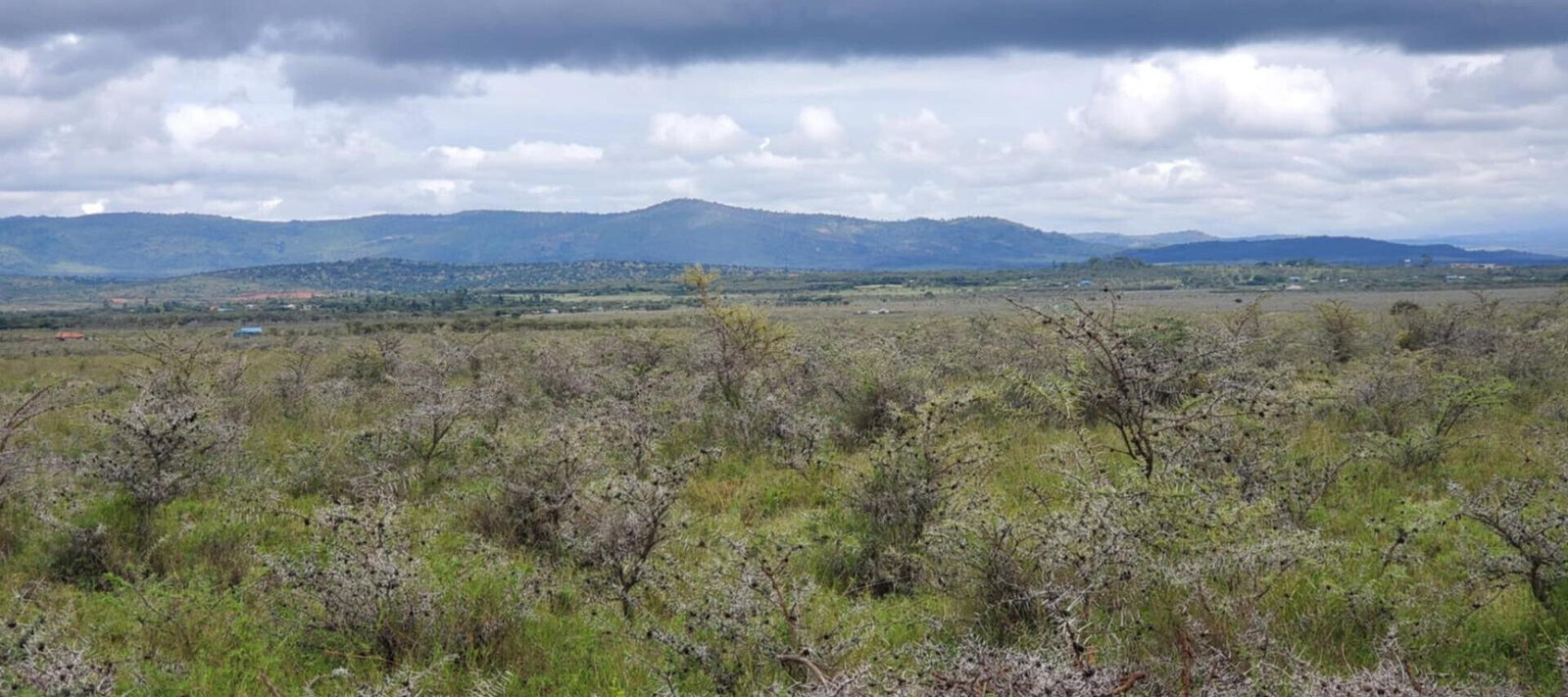 10-Acre Plot in Laikipia Central
