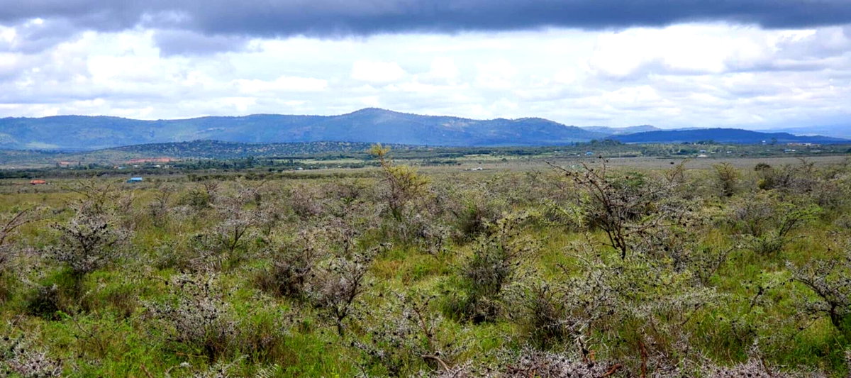10-Acre Plot in Laikipia Central