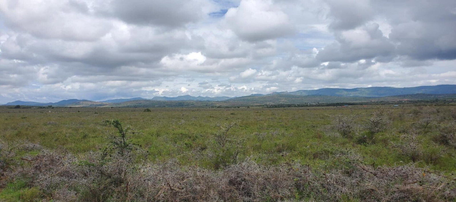 10-Acre Plot in Laikipia Central