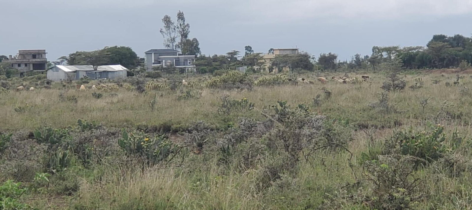10-Acre Plot in Laikipia Central
