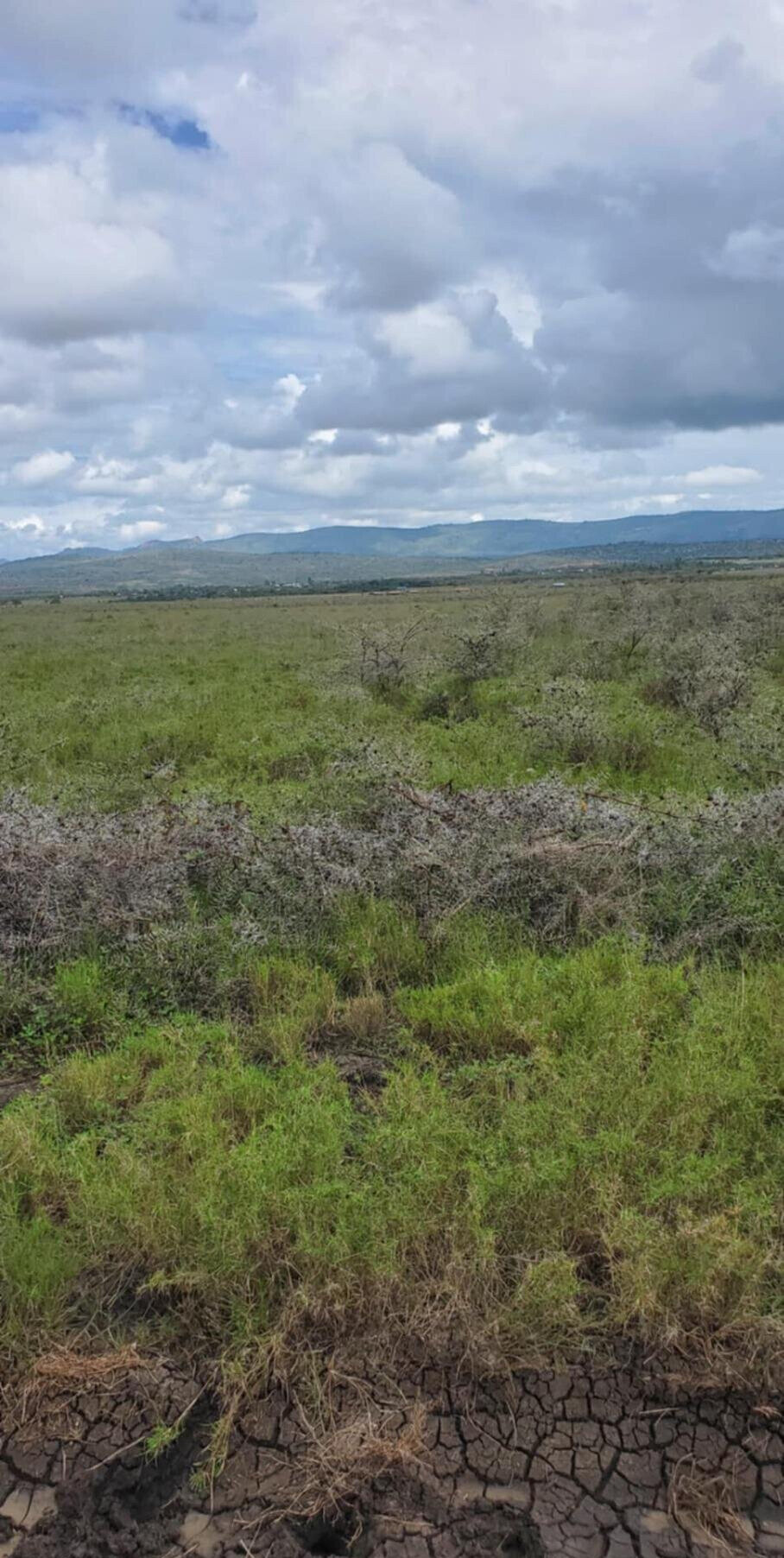 10-Acre Plot in Laikipia Central
