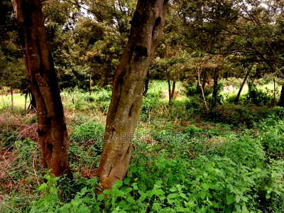 100x100 Residential Plot for Sale in Kikuyu G3 - Image 6