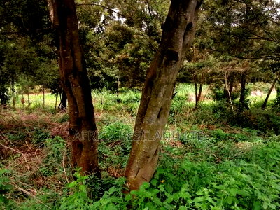 100x100 Residential Plot for Sale in Kikuyu G3 - Image 5
