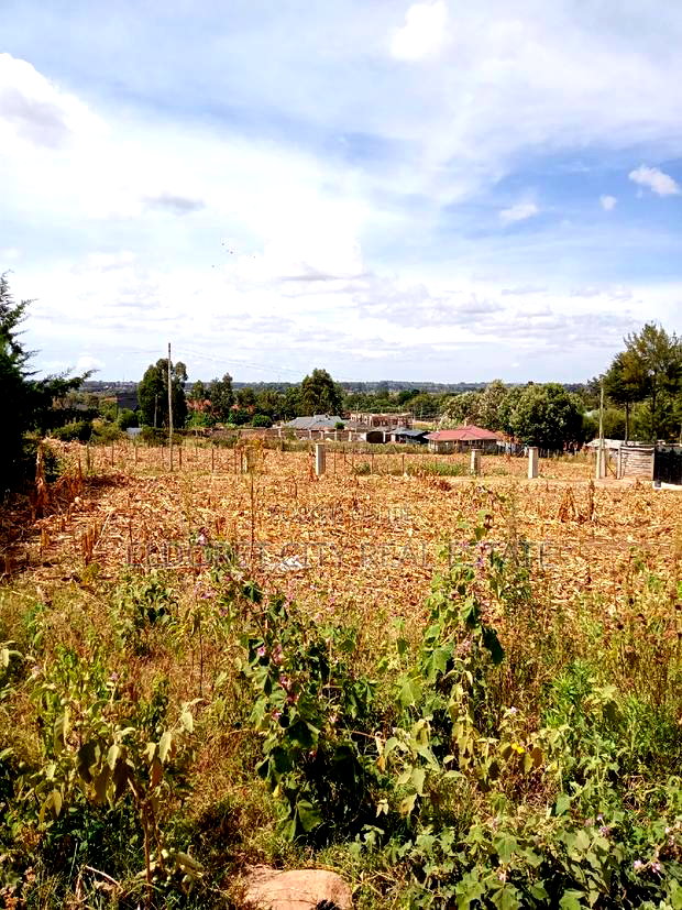 1/4 Plots Hillside Nean Kenmosa