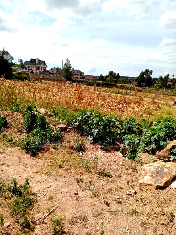 1/4 Plots Hillside Nean Kenmosa