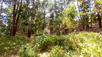 Land for Sale at Redhill Estate - Image 5