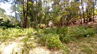 Land for Sale at Redhill Estate - Image 7