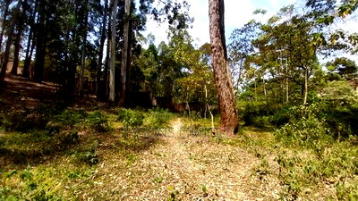 Land for Sale at Redhill Estate - Image 3