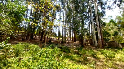 Land for Sale at Redhill Estate - Image 1