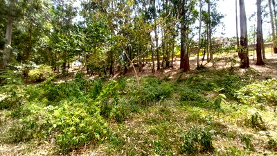 Land for Sale at Redhill Estate - Image 4