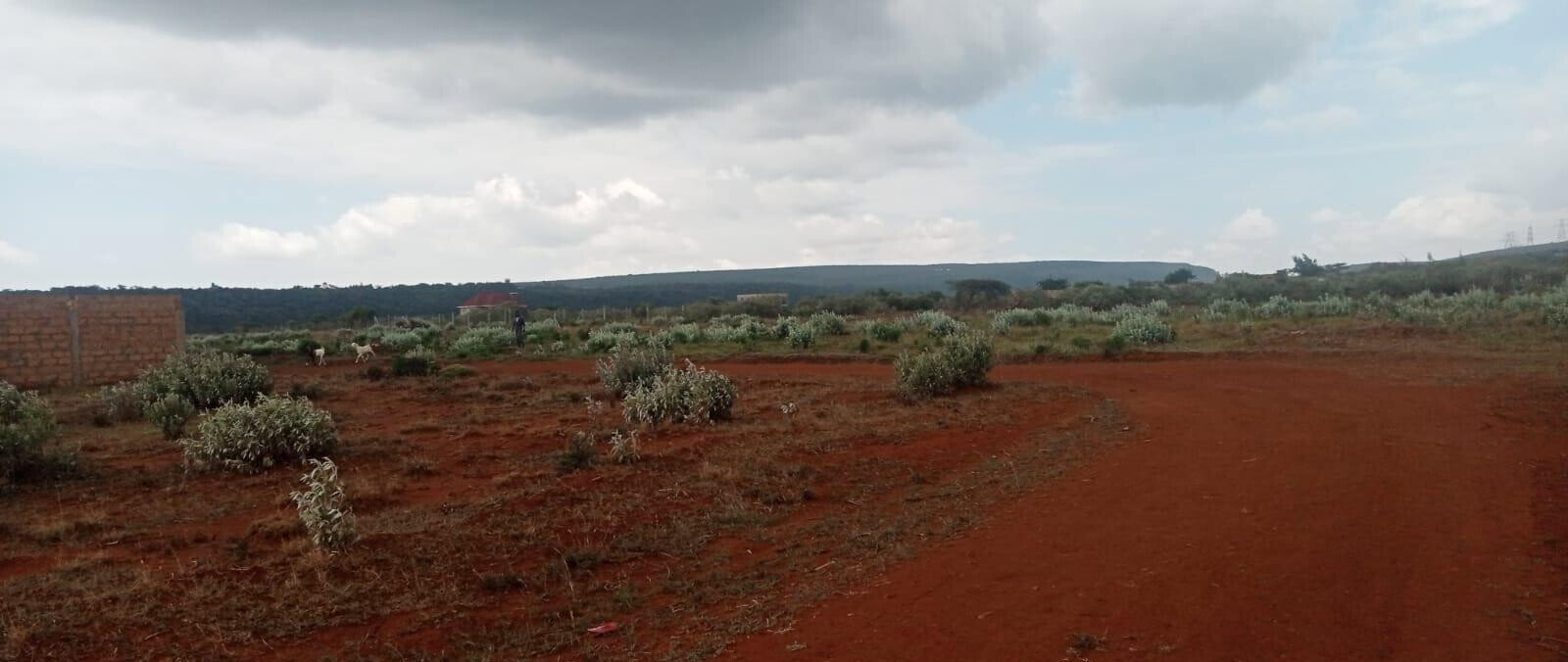 50x100 Plot in Ngong CBD at KSh 850K