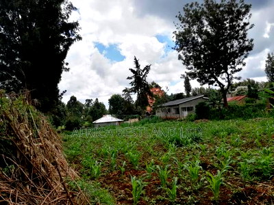 1/2 Acre Land for Sale in Kikuyu - Image 4