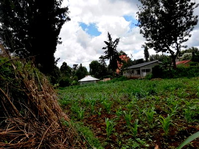 1/2 Acre Land for Sale in Kikuyu - Image 6