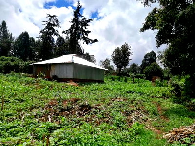 1/2 Acre Land for Sale in Kikuyu - Image 9