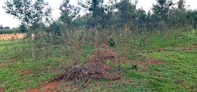 1/4 Plot for Sale in Kapseret Bypass After Lobo Eldoret - Image 3