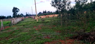 1/4 Plot for Sale in Kapseret Bypass After Lobo Eldoret - Image 7