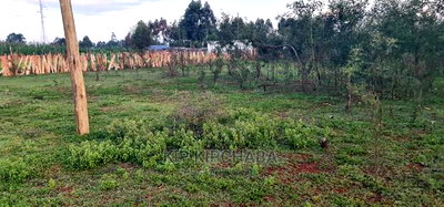 1/4 Plot for Sale in Kapseret Bypass After Lobo Eldoret - Image 2