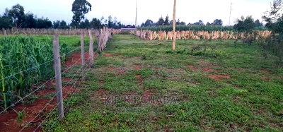 1/4 Plot for Sale in Kapseret Bypass After Lobo Eldoret - Image 4