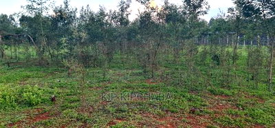 1/4 Plot for Sale in Kapseret Bypass After Lobo Eldoret - Image 5