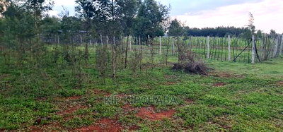 1/4 Plot for Sale in Kapseret Bypass After Lobo Eldoret - Image 6