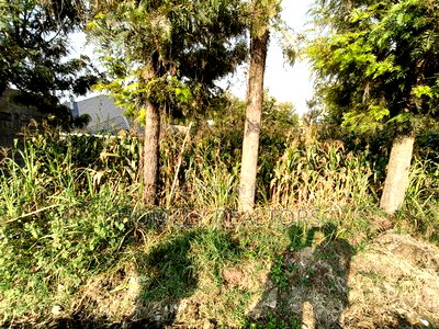 Residential Eighth Acre Plot in Ngong, Olkeri 250 Meters From Tarmac - Image 3