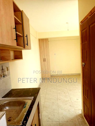 1bdrm Block of Flats in Zimmerman for rent - Image 19