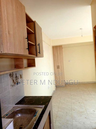1bdrm Block of Flats in Zimmerman for rent - Image 8