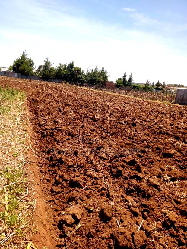 1/8 and 1/4 Plots Kipkorgot Ideal for Residential