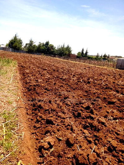 1/8 and 1/4 Plots Kipkorgot Ideal for Residential - Image 2