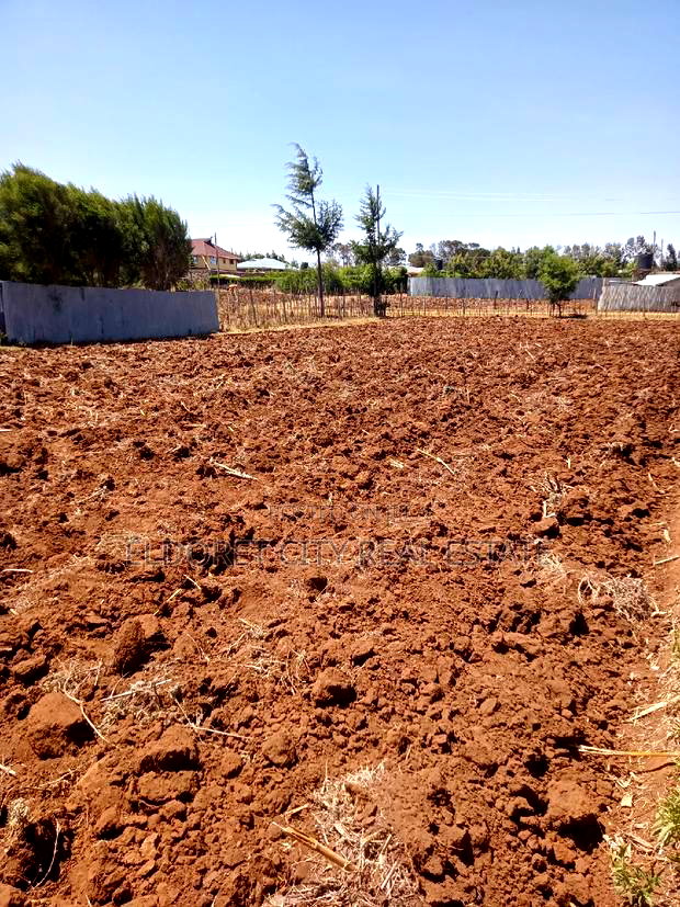 1/8 and 1/4 Plots Kipkorgot Ideal for Residential