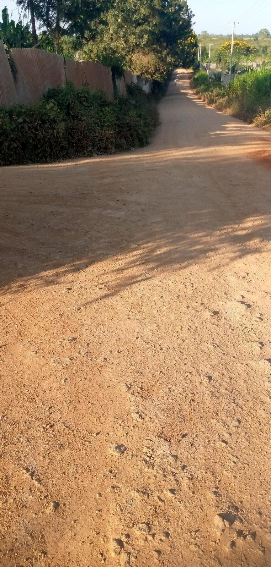 Quarter Acre Land in Kiambu for KSh 6M