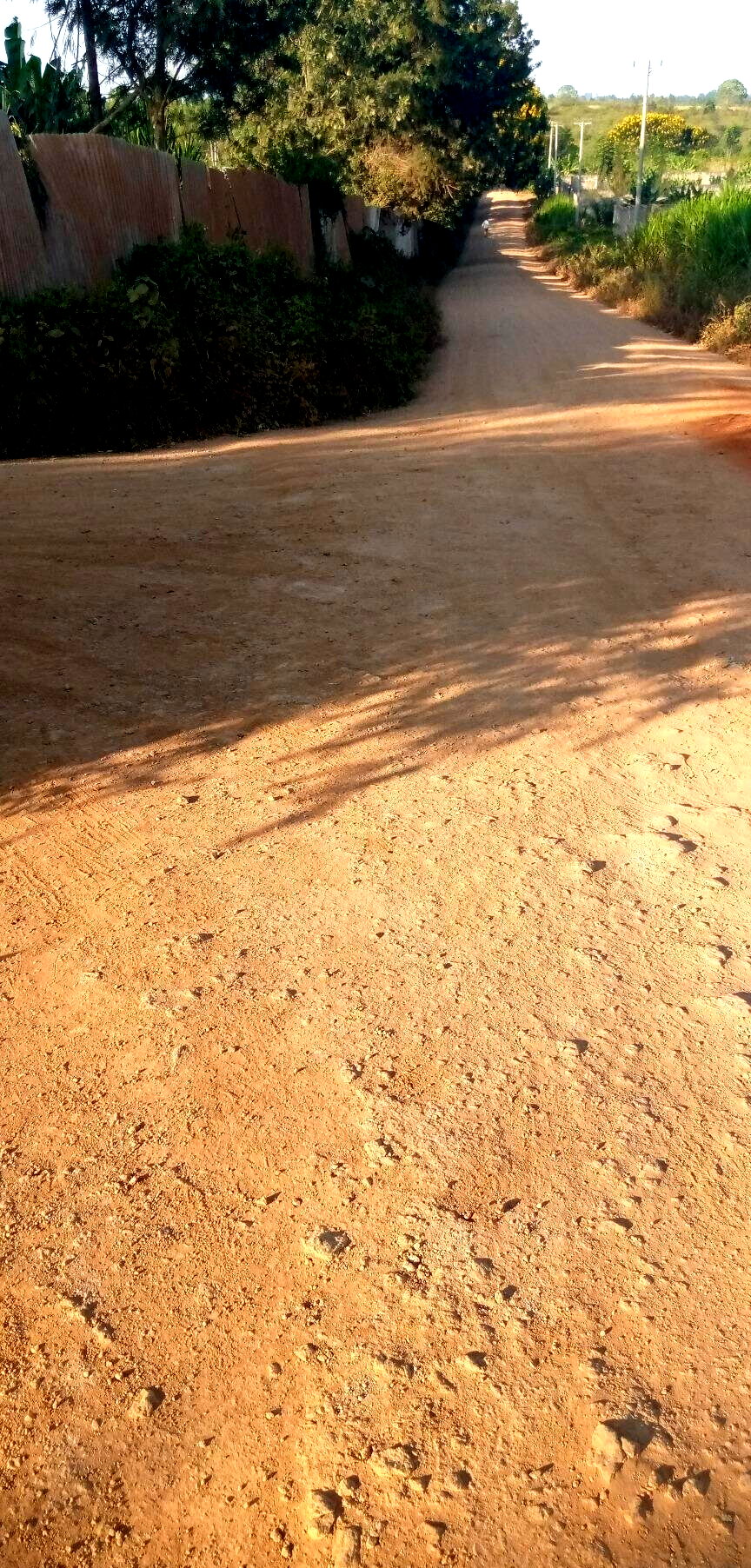 Quarter Acre Land in Kiambu for KSh 6M