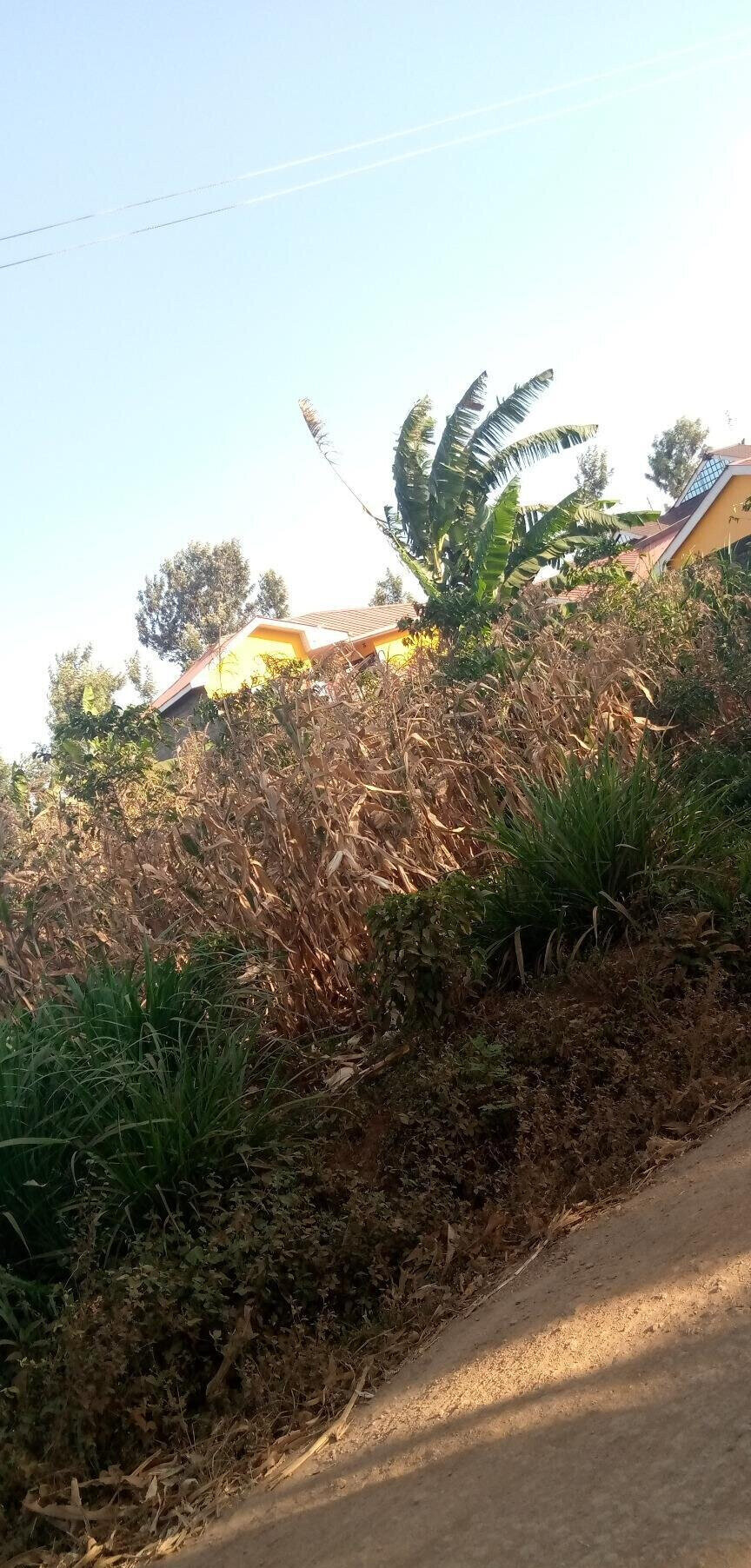 Quarter Acre Land in Kiambu for KSh 6M