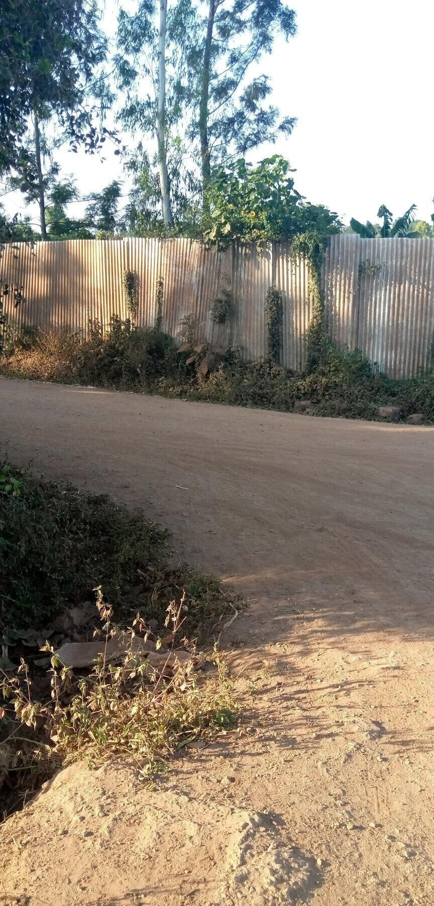 Quarter Acre Land in Kiambu for KSh 6M