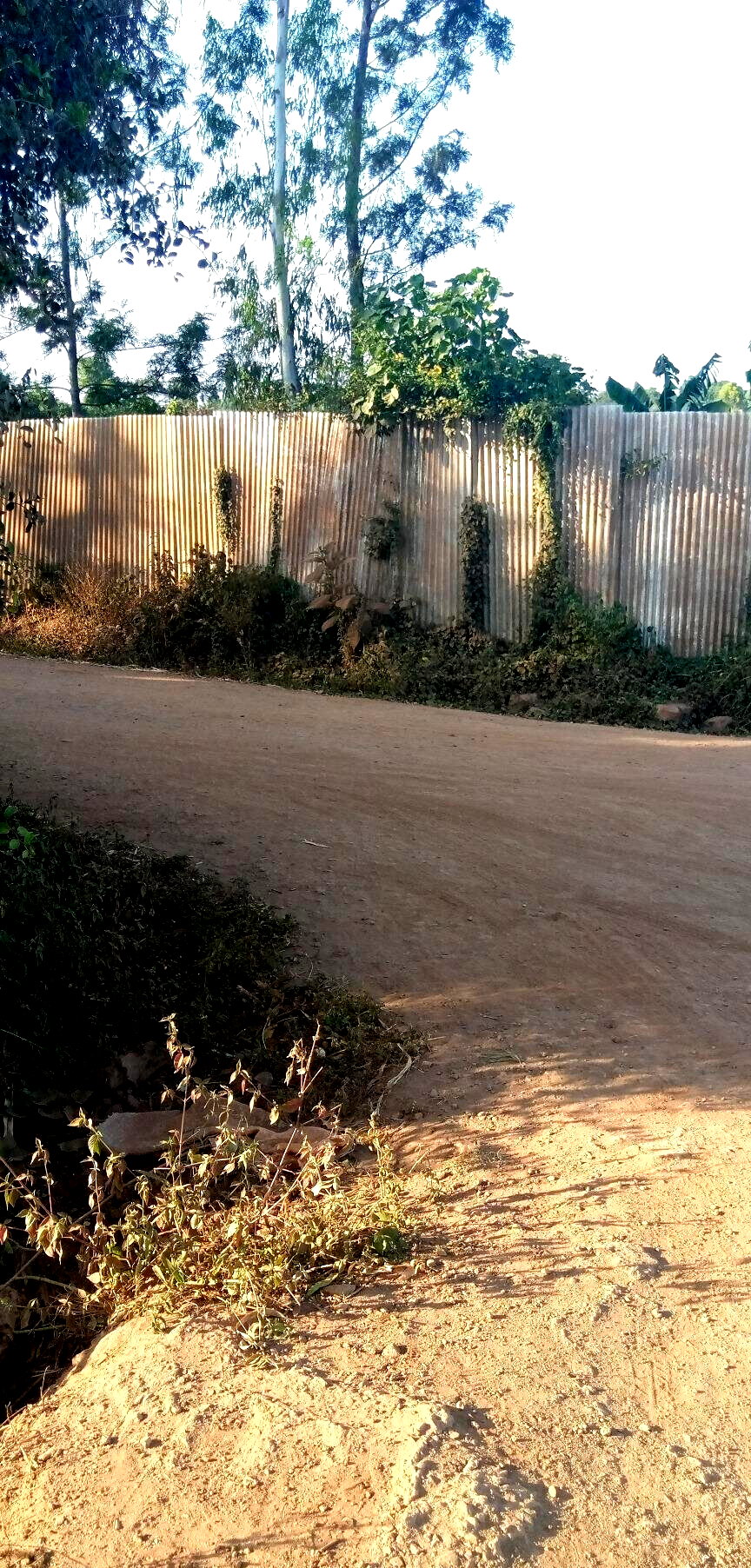 Quarter Acre Land in Kiambu for KSh 6M