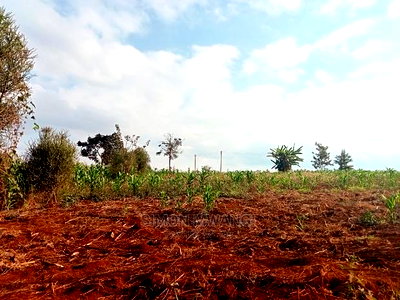 40*80 Residential Plot on Sale at Kiambu Anmer Estate at 1.6m - Image 1