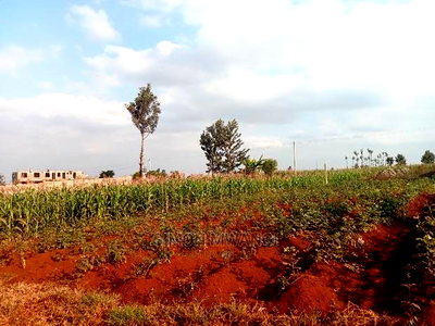 40*80 Residential Plot on Sale at Kiambu Anmer Estate at 1.6m - Image 6