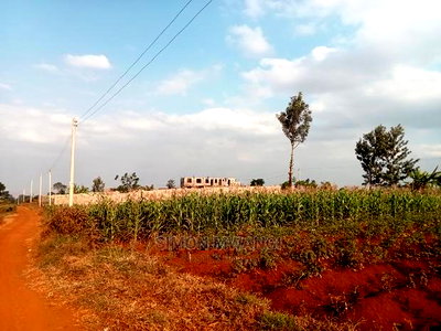 40*80 Residential Plot on Sale at Kiambu Anmer Estate at 1.6m - Image 5